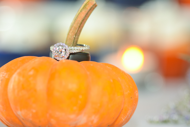 2015-10-31 Samantha & Patrick's Wedding-2337