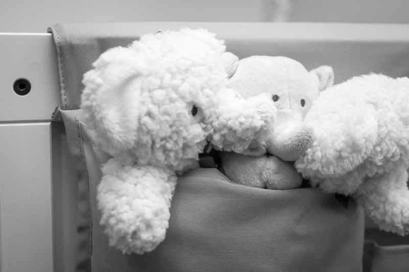 2015-11-17 Baby Finn-MD-AMB-114