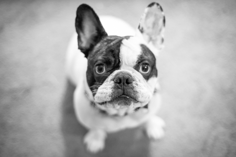 2015-11-17 Baby Finn-MD-RCD-169-Edit
